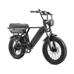 Elcykel 20 tum med feta däck 48V 500W 15Ah batteri